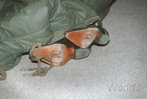 Bolla 02.jpg